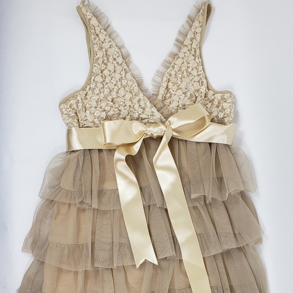 Cream Lace Dress with Tiered Beige Tulle